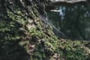 Product thumbnail 2 of 2